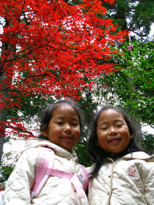 20081108_gokurakuji