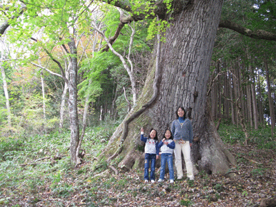 konara_200811022
