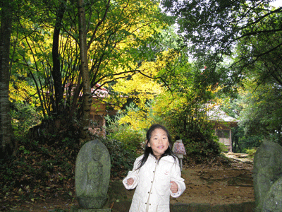 茉莉花　極楽寺にて