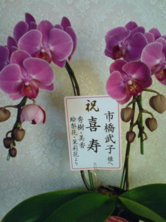 撮影：市橋敬子