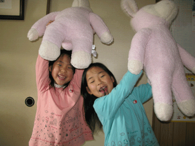 sheep_20090131