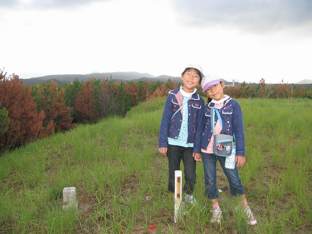 20101010a