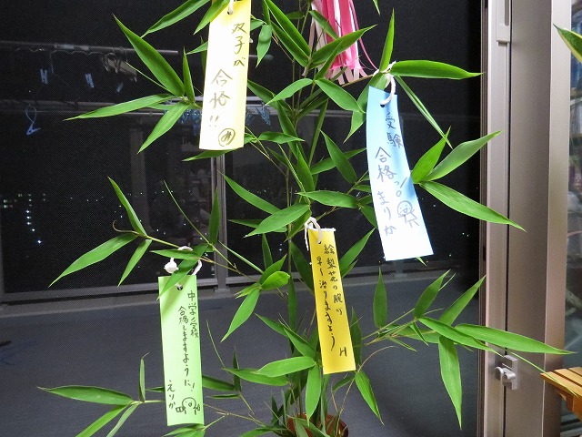 20130707u