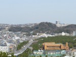 拡大すると