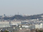 南南西側より