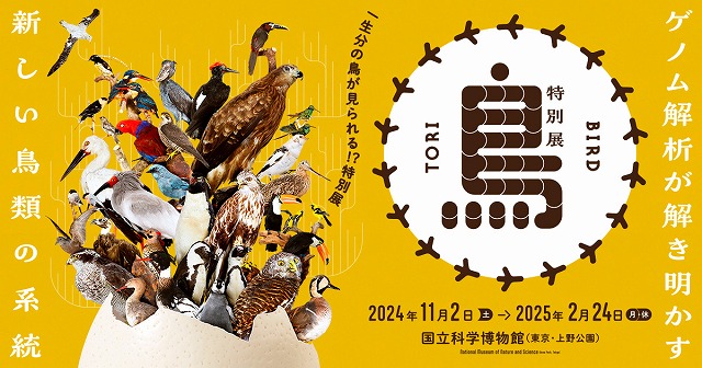 科博特別展『鳥』
